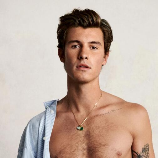 Shawn Mendes Miniatura